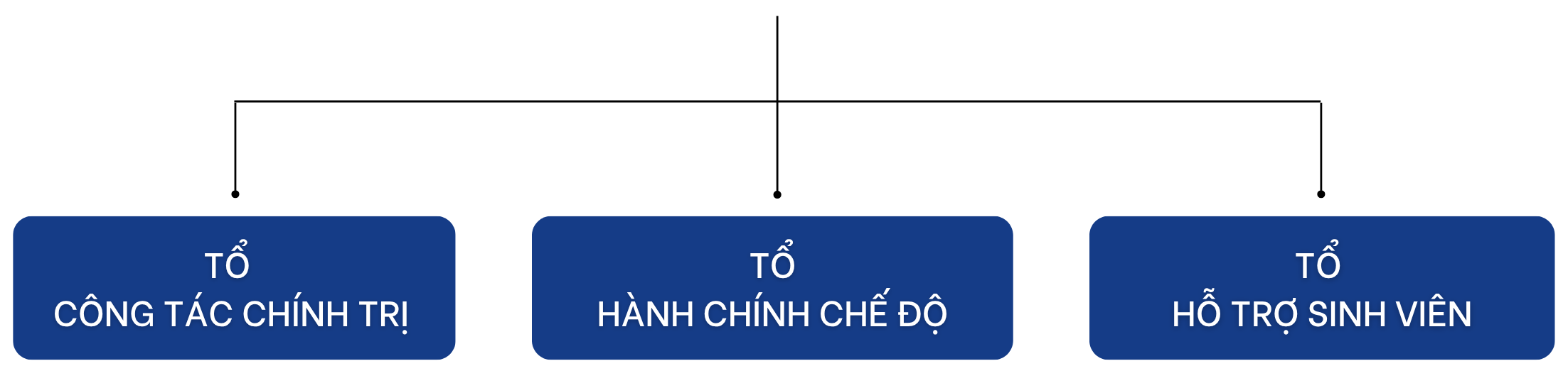 CƠ CẤU ĐỘI NGŨ PHÒNG CÔNG TÁC SINH VIÊN